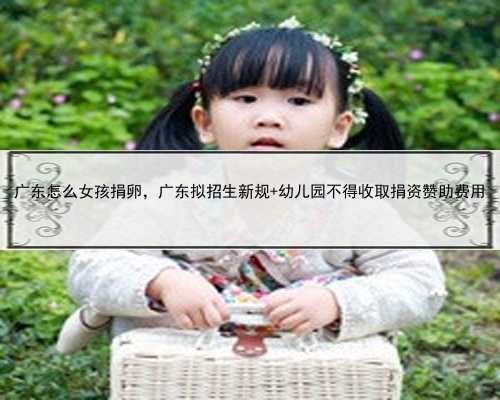 广东怎么女孩捐卵，广东拟招生新规 幼儿园不得收取捐资赞助费用