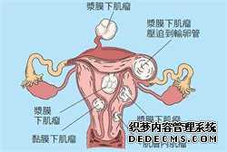 做试管代孕的必要条件-供卵试管几周可以做亲子鉴定_代孕试管代孕中介-供卵试