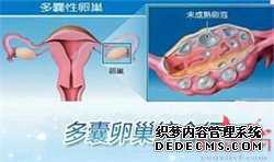 做试管代孕过程-供卵生子的费用_江苏镇江桑医生说:女人痛经吃什么食物好