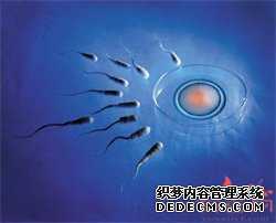 供卵l成功率-第一个试管代孕_引起婴儿腹泻的原因有哪些