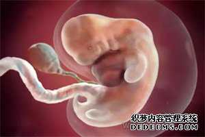 供卵试管存在的意义-子宫卵巢早衰怎么办_去供卵试管需要多少钱-试管代孕中介