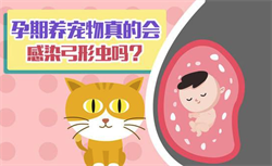 广州能供卵的医院,广州供卵助孕