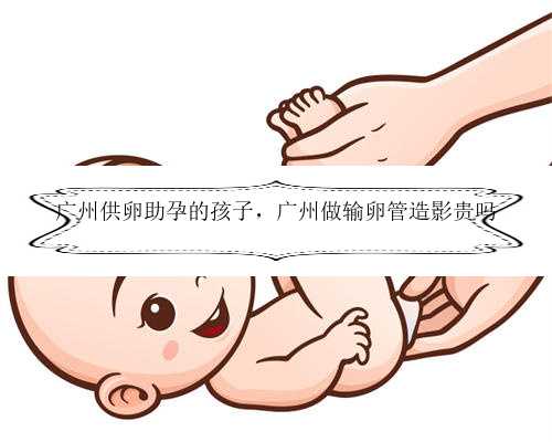 广州供卵助孕的孩子，广州做输卵管造影贵吗